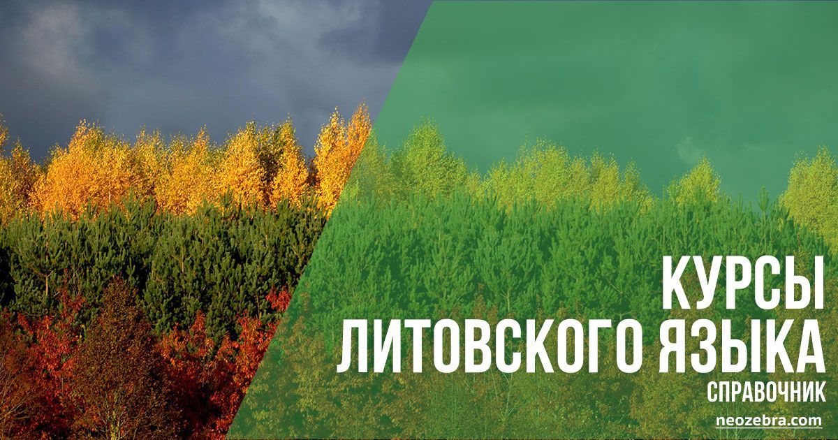 Платные и бесплатные курсы литовского языка Платные и бесплатные курсы литовского языка